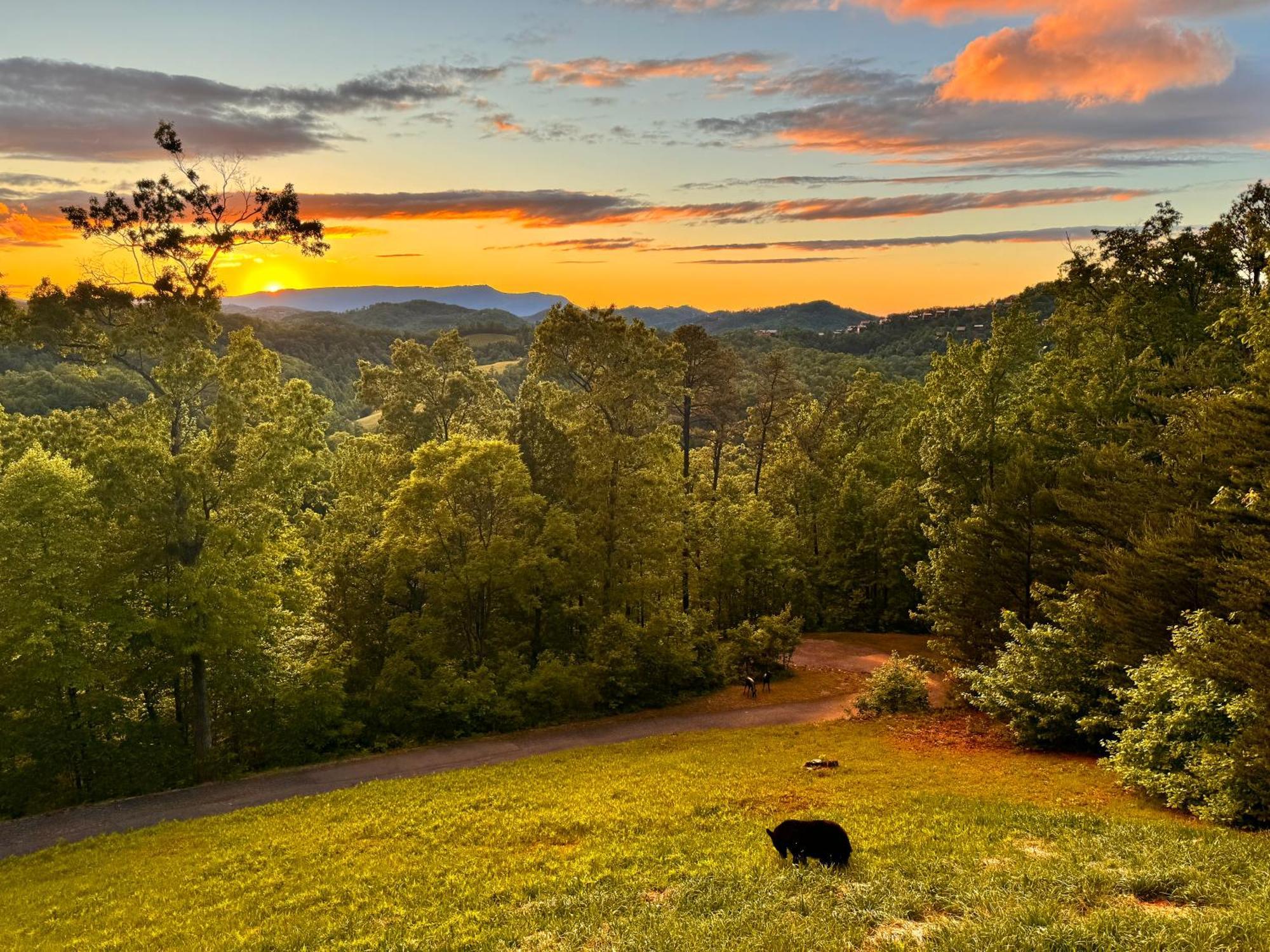 Smoky Best - Glowing Twilight Pigeon Forge Eksteriør billede